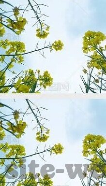 118比分直播足球比分3g-118比分直播，3G时代下的足球比分速递新体验
