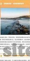 参加森林的舞会的动物-森林的舞会，动物们的欢乐庆典