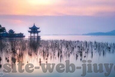 济科 世界杯-济科，世界杯传奇的绿茵艺术家