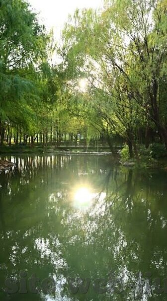今日足球完场比分-今日足坛风云，完场比分全解析，豪门盛宴与黑马逆袭并存