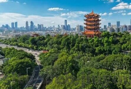 迅赢足球比分直播-迅赢足球比分直播，足球迷的实时战场，激情与数据的完美融合